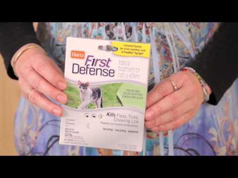 Hartz® First Defense™ Flea and Tick Topical Drops for Cats: Application How-to Guide