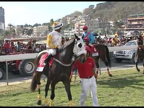 BEFORE THE RACE - THE AIR MAURITIUS MAIDEN CUP 2016