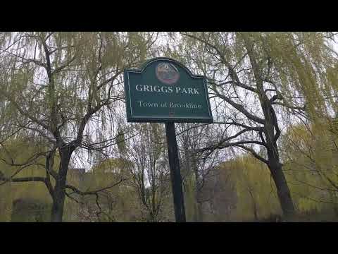 Beautiful day at boston brookline MA...