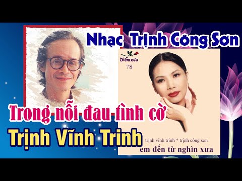 Trong nỗi đau tình cờ Sheet - Trịnh Vĩnh Trinh