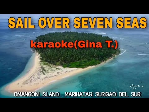 SAIL OVER SEVEN SEAS|KARAOKE|Gina T.