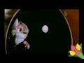 Ente Sharike Whatsapp Status