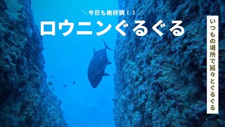 マリンズプロ宮古