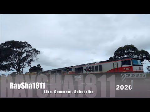 1MP9 - CSR007-CSR004-SCT015 (SCT) Murgheboluc - Australian Trains by Raysha1811