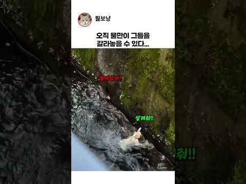 싸움을 멈출수있는 단한가지 방법