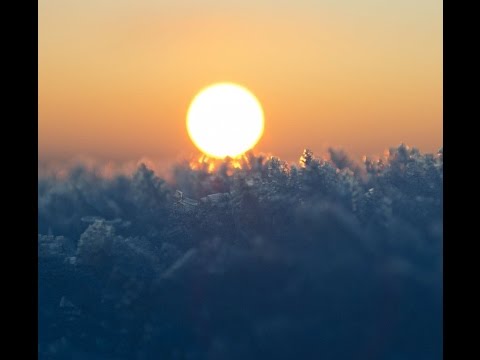 Manoj Prajapati  Speech for...