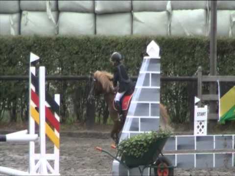 King Yanne Schaerlaeken Verbrande Brug 60cm 26-06-11.MOD