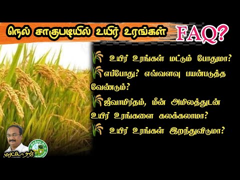 நெல் விவசாயத்தில் உயிர் உரங்கள் F.A.Q? Paddy Farming -  Bio Fertilizer Basics #Brittoraj