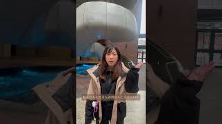 大人留学