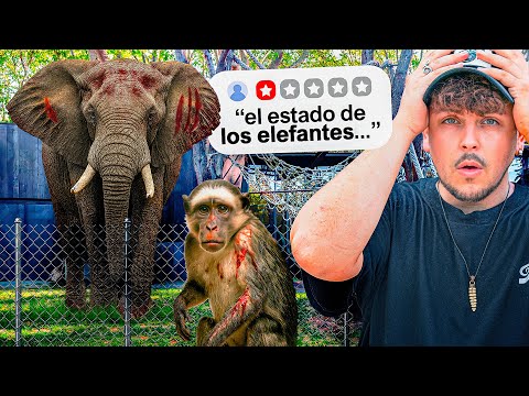 The Big Problem of the Barcelona Zoo