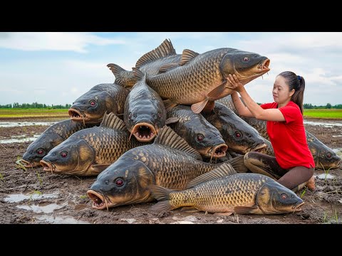 Harvesting Giant Forest Carp & Go to Market Sell | The legendary carp that can turn into a dragon