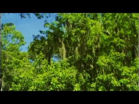 The Story of Jazz: New Orleans Stomp DVD extra - Jelly Roll Morton's "New Orleans Bump" (1929)