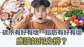 31 .《肥者生存》第八集：碳水有好有壞，脂肪有好有壞，應該如何分辨？