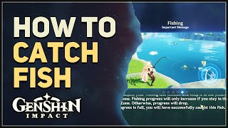 How to Catch Fish Genshin Impact