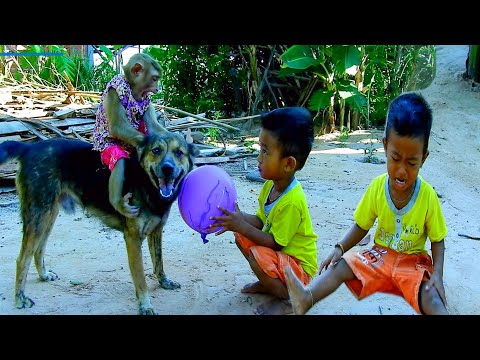 [ CRY LOUDLY ] Schuten Persuade Little Vithu While Seize Ball & Break It