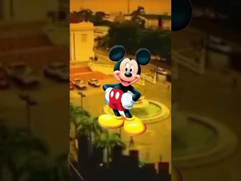 Mickey Mouse Palacio Rio Branco Acre