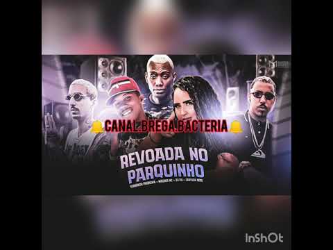 FERNANDO PROBLEMA, MALOKA MC, DJ PH, LARYSSA REAL E MC GW - REVOLTADA NO PORQUINHO -REMIX BREGA FUNK