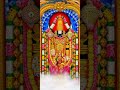 Pavadiso Paramathma Shree Tirumal Venktesha God WhatsApp Status Video S P B Songs Kannada