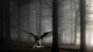 chapter IX - a sombre dance (Estatic Fear) - KARA