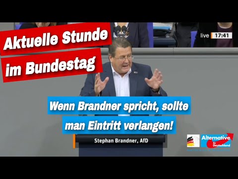 AfD im Bundestag: Wenn Brandner spricht sollte man für diese Vorstellung fast Eintritt verlangen