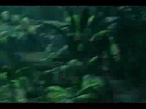 Megalink Turok 08 Pc Iso Download