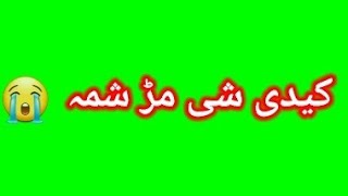 new green screen pashto poetry  sad status  for wa