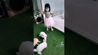 Download lagu TikTok - Jujur Saja Ku Tak Mampu (Rabbit Land) mp3 Download lagu TikTok - Jujur Saja Ku Tak Mampu (Rabbit Land) mp3