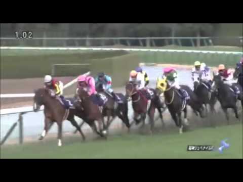 阪神ジュベナイルフィリーズ2015