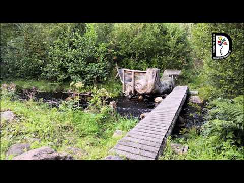 Es führt über den Main