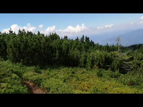 Ceahlău, pe cărări pierdute