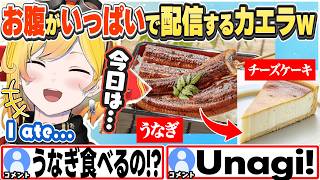 [JP/ENG SUB] うなぎやチーズケーキを食べてお腹パンパンな話をするカエラw / I ate Unagi and Cheesecake!【カエラ・コヴァルスキア/ホロライブ/切り抜き】