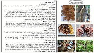 דף יומי מסכת שבועות דף יב Daf yomi Masechet Shevuot page 12  ע"י יוני גוטמן (שיעורי הדף היומי ב-20 דקות – מועבר ע"י ר' יוני גוטמן – לעילוי נשמת אביו ר' אלימלך צבי (צביקה) גוטמן ז"ל) - התמונה מוצגת ישירות מתוך אתר האינטרנט יוטיוב. זכויות היוצרים בתמונה שייכות ליוצרה. קישור קרדיט למקור התוכן נמצא בתוך דף הסרטון