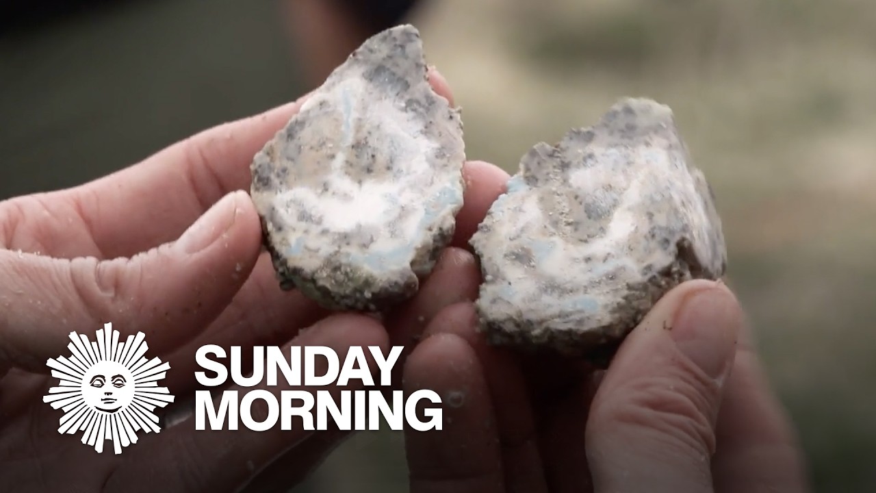 Unique hobbies and professions