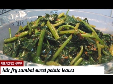 download lagu mp3 mp4 Sambal Sweet Potato Leaves, download lagu Sambal Sweet Potato Leaves gratis, unduh video klip Sambal Sweet Potato Leaves