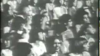 The Kinks - Long Tall Shorty 3