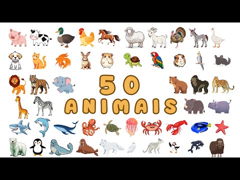 Descobrindo e aprendendo 50 animais | Educação Infantil
