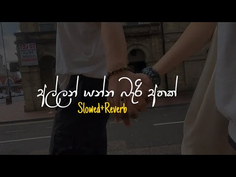 Allan Yanna Beri Athak - අල්ලන් යන්න බැරි අතක් (Slowed+Reverb)