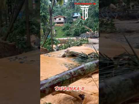 මේ හැමදේම මුල ඉදන්ම හදන්න වෙනව #thivankab #trending #viral #travel #rain #rainsounds #onthisday