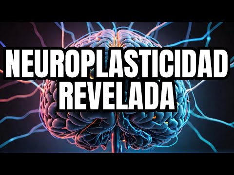 The Human Brain: 20 Secrets That Neuroscience Hides | Neuroplasticity, Memory, Dopamine |
