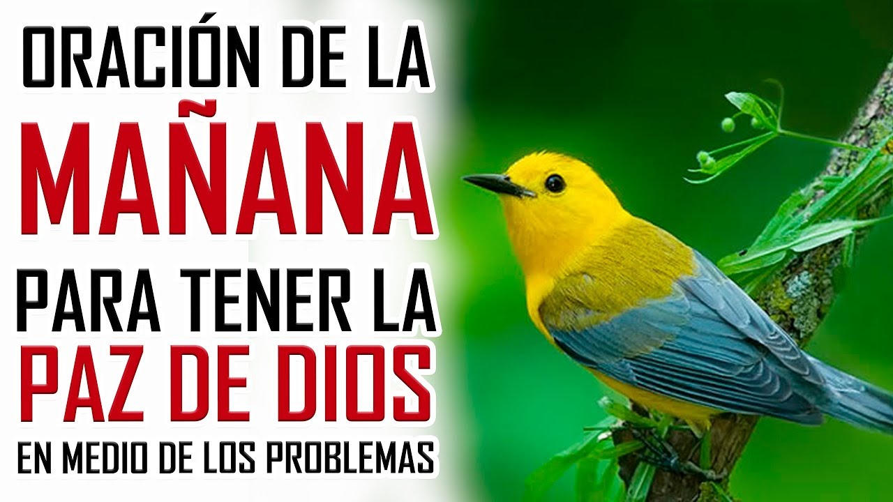 ORACION DE LA MAÑANA 🙏 PARA TENER LA PAZ DE DIOS EN MEDIO DE LOS PROBLEMAS DE LA VIDA 😥