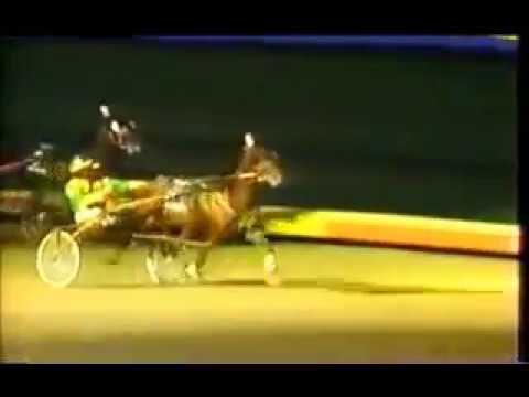1987 Roosevelt Raceway ARMBRO EMERSON Breeders Crown Aged H&G Pace Walter Whelan