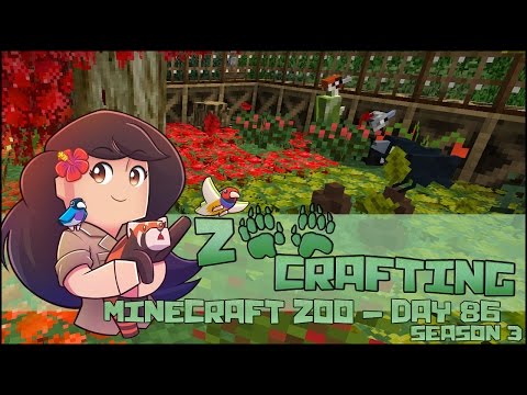 Feathered Fluffs for the Woodpecker Aviary!! 🐘 Zoo Crafting: Episode #86 🐘 Season 3
