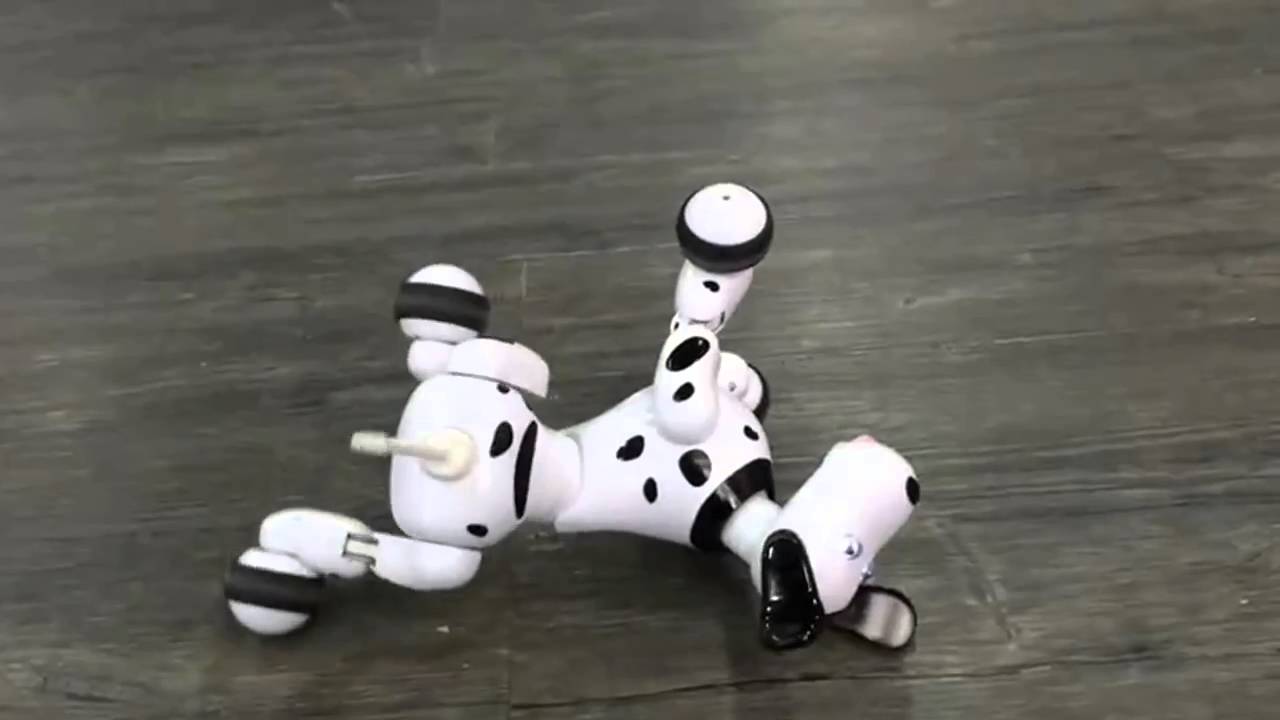 RC Robo-Dog - pes, černý