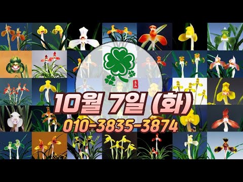 유튜브 썸네일