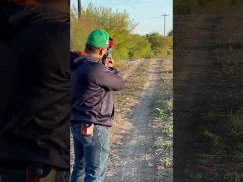 Cazando palomas con rifle de aire #airgun #hunting #airrifleshooting #dovehunting  #pestcontrol
