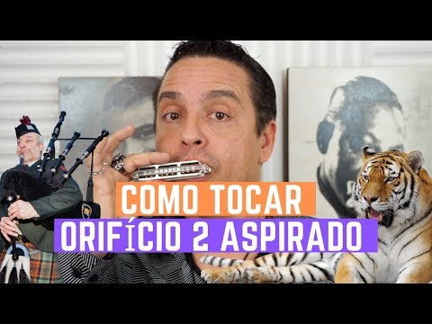 Como tocar o orifício 2 aspirado na gaita @ Dicas de gaita