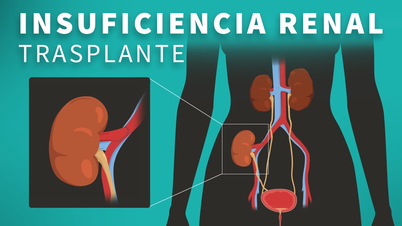 ¿Cuál es la fisiopatología de la enfermedad renal terminal? ES General