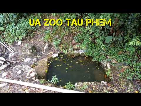 ua zoo tau phem.30/3/2022.