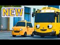 Tayo Nuri Is A Superstar Honesty Sharing Picnic Fun Toon Mania Happy Kids
