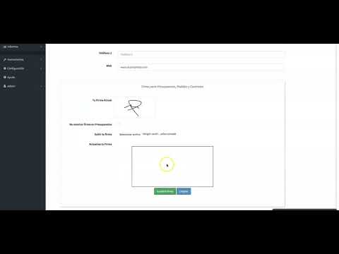Video Image